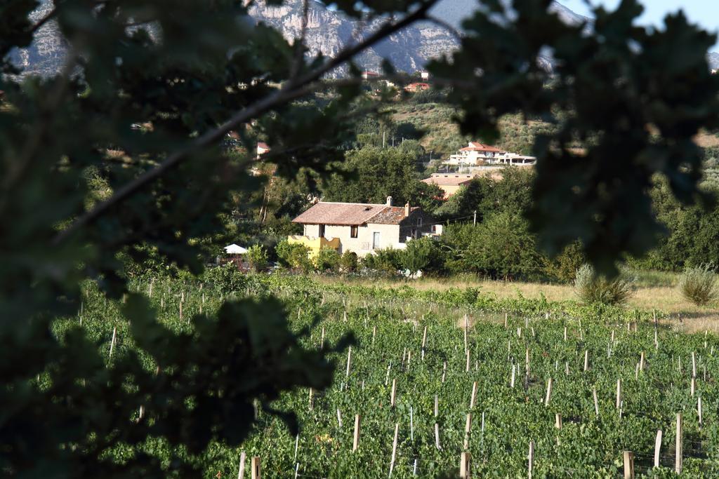 Panta Rei 3* Cicerale